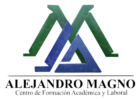tecnicosalejandromagno.edu.co